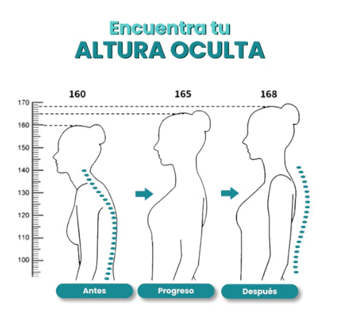 Corrector de Postura Espaluxe